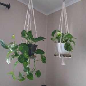 Hangers or Hanger w wood base only